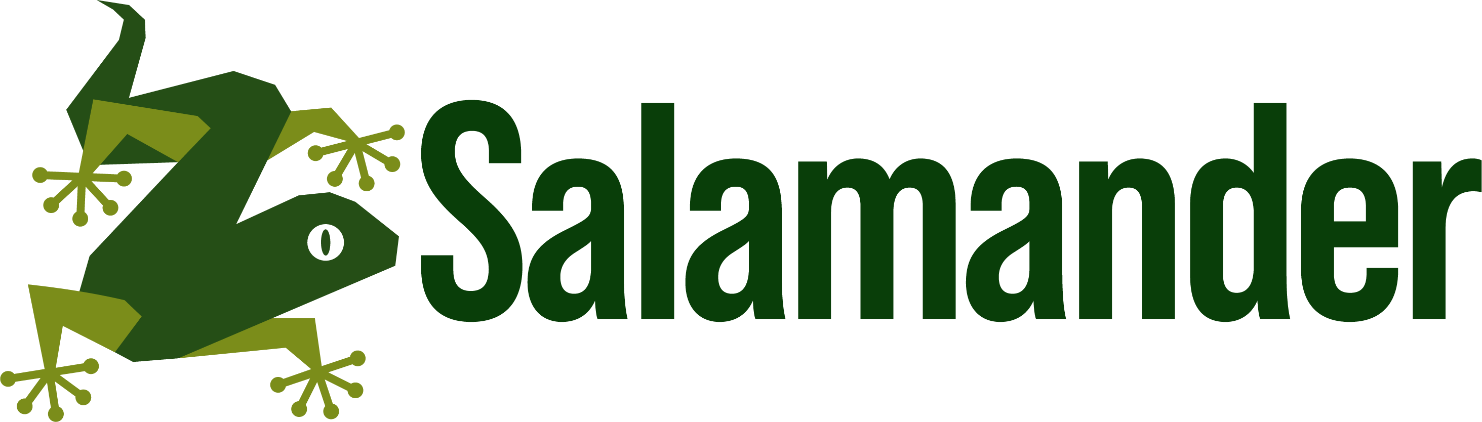 Salamander News