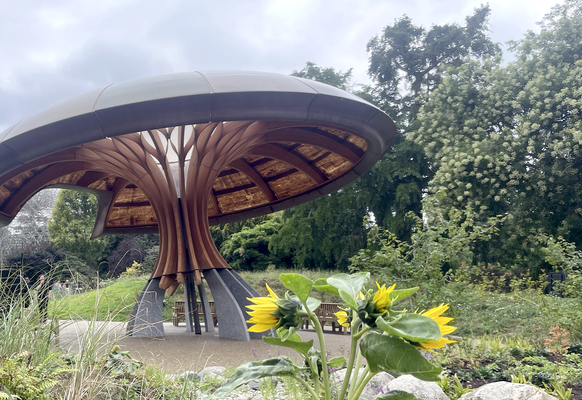Kew’s new Carbon Garden - climate storytelling through plants